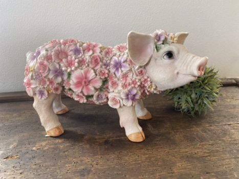 Blumen- Schweinchen